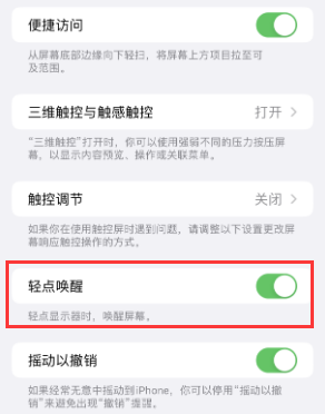 定日苹果授权维修站分享iPhone轻点无法唤醒怎么办 