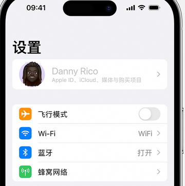 定日appleID维修服务iPhone设置中Apple ID显示为灰色无法使用