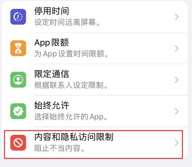 定日appleID维修服务iPhone设置中Apple ID显示为灰色无法使用