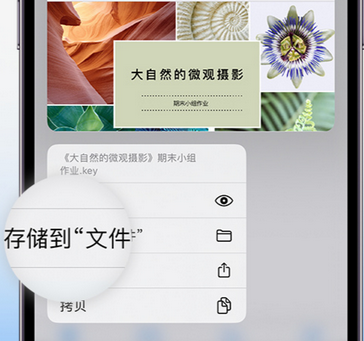 定日apple维修中心分享iPhone文件应用中存储和找到下载文件