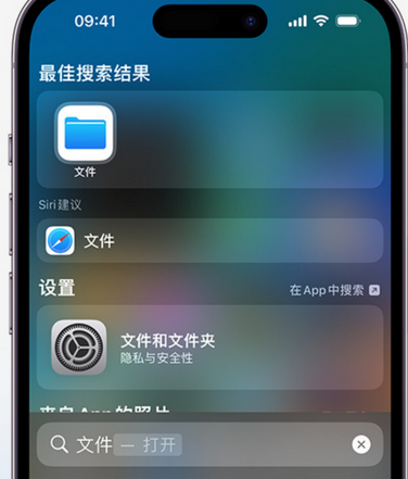 定日apple维修中心分享iPhone文件应用中存储和找到下载文件 