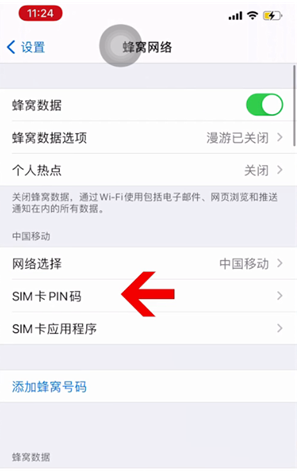 定日苹果14维修网分享如何给iPhone14的SIM卡设置密码 