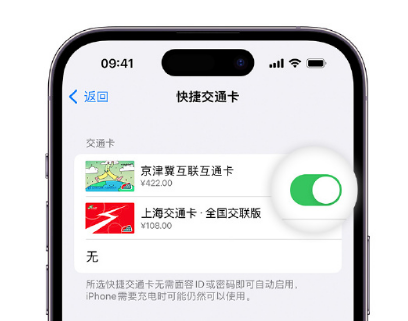 定日apple维修点分享iPhone上更换Apple Pay快捷交通卡手绘卡面 