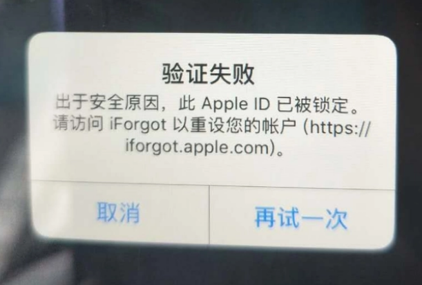 定日iPhone维修分享iPhone上正常登录或使用AppleID怎么办 