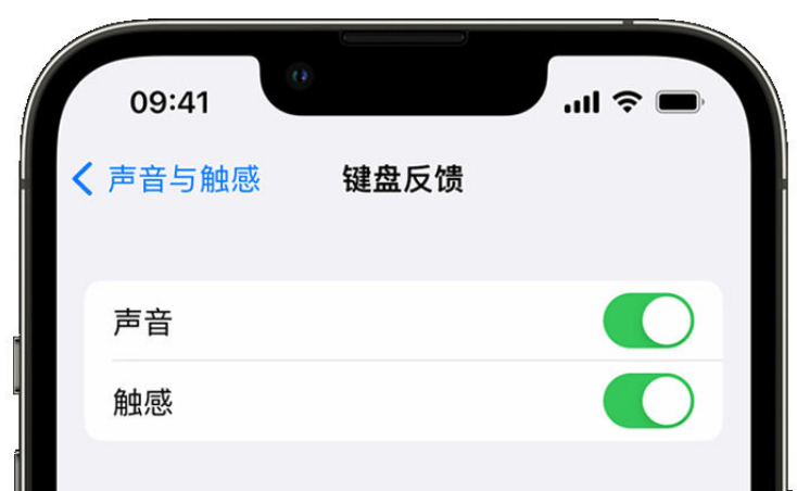 定日苹果手机维修分享iPhone 14触感键盘使用方法 