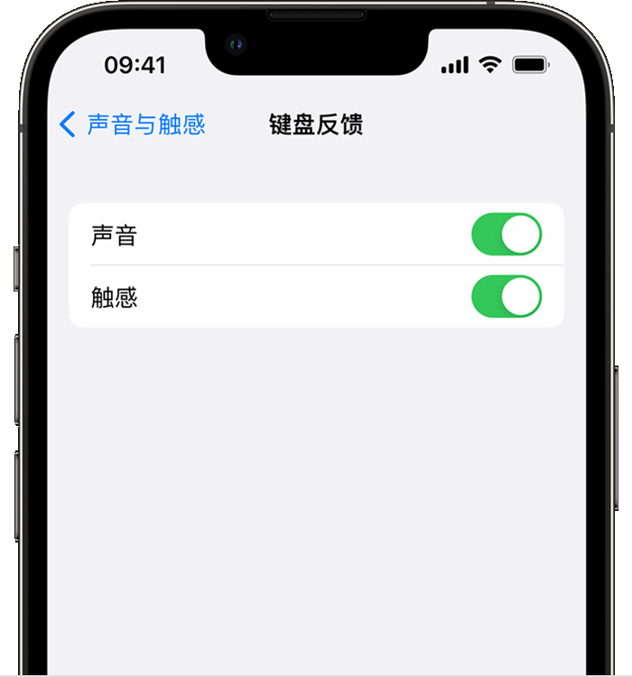 定日苹果14维修店分享如何在 iPhone 14 机型中使用触感键盘 