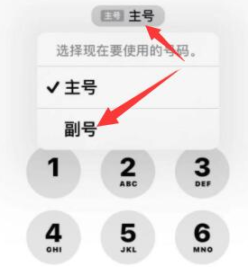 定日苹果14维修店分享iPhone 14 Pro Max使用副卡打电话的方法 