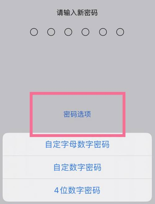 定日苹果14维修分享iPhone 14plus设置密码的方法 