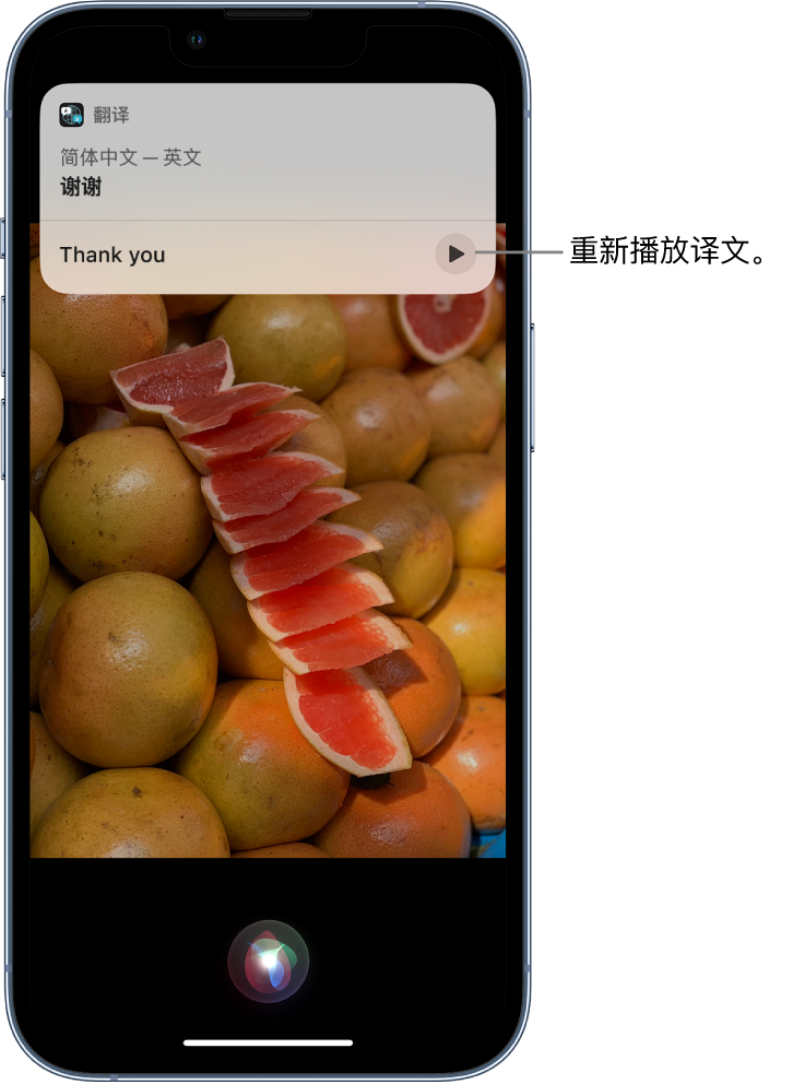 定日苹果14维修分享 iPhone 14 机型中使用 Siri：了解 Siri 能帮你做什么 