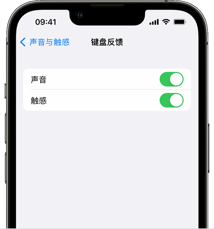 定日苹果14维修分享iPhone 14 系列机型如何开启键盘声音或触感反馈 