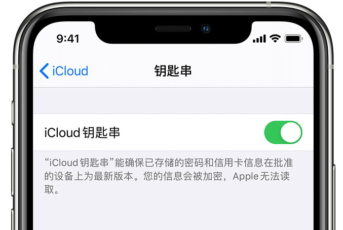 定日苹果手机维修分享在 iPhone 上开启 iCloud 钥匙串之后会储存哪些信息 