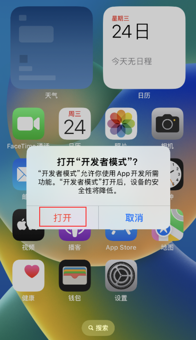 定日苹果手机维修分享如何打开开发者模式 