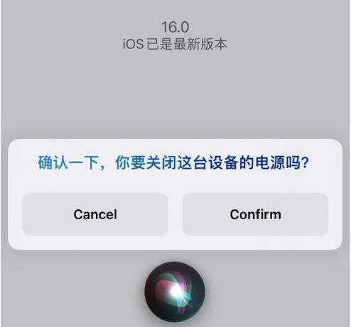 定日苹果手机维修分享iOS 16 Beta5为什么要取消Siri语音关机功能 