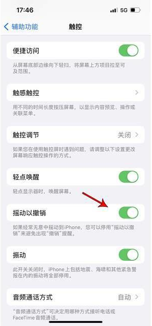 定日苹果手机维修分享iPhone手机如何设置摇一摇删除文字 