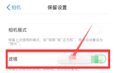 定日苹果13维修分享iPhone13拍照有绿点是怎么回事 