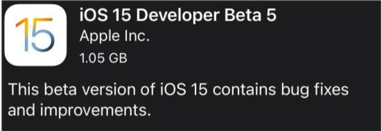 定日苹果手机维修分享如何升级到iOS15.0 beta5 