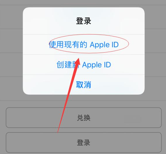 定日苹果手机维修分享两台iPhone设备可以同时登录一个Apple ID吗 