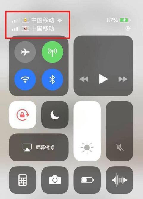 定日苹果手机维修分享为 iPhone 12 双卡设置标签 