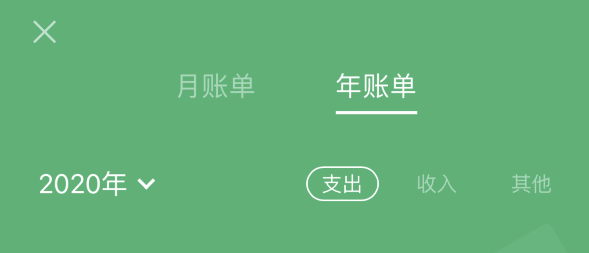 定日苹果手机维修分享如何在 iPhone 上查看支付宝和微信年支出账单 