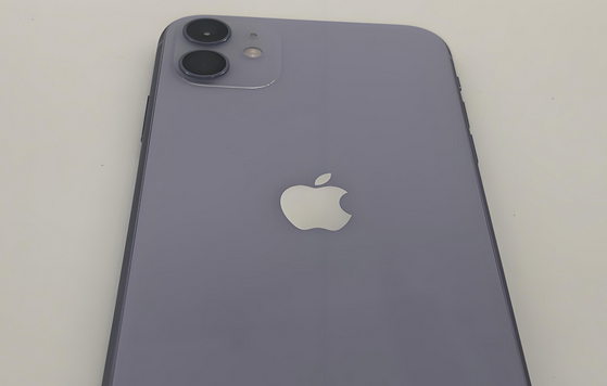 定日苹果11系统维修分享iPhone11手机系统崩溃无法开机如何解决 